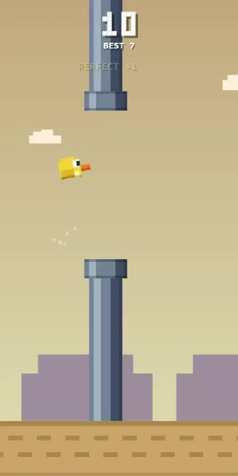 Birdy Flap
