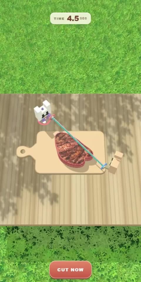 Steak Splitter